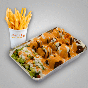 Falafel Platter w/ Fries