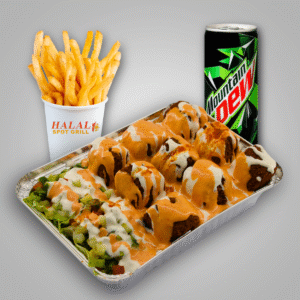 Falafel Platter Combo w/ Fries & Soda